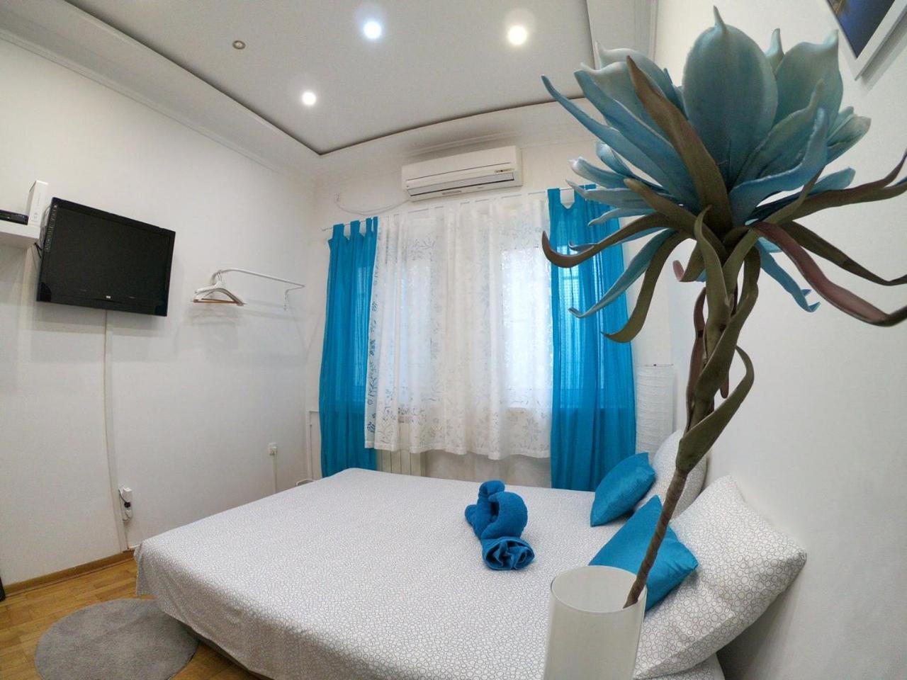 Apartment Fedra Novi Sad