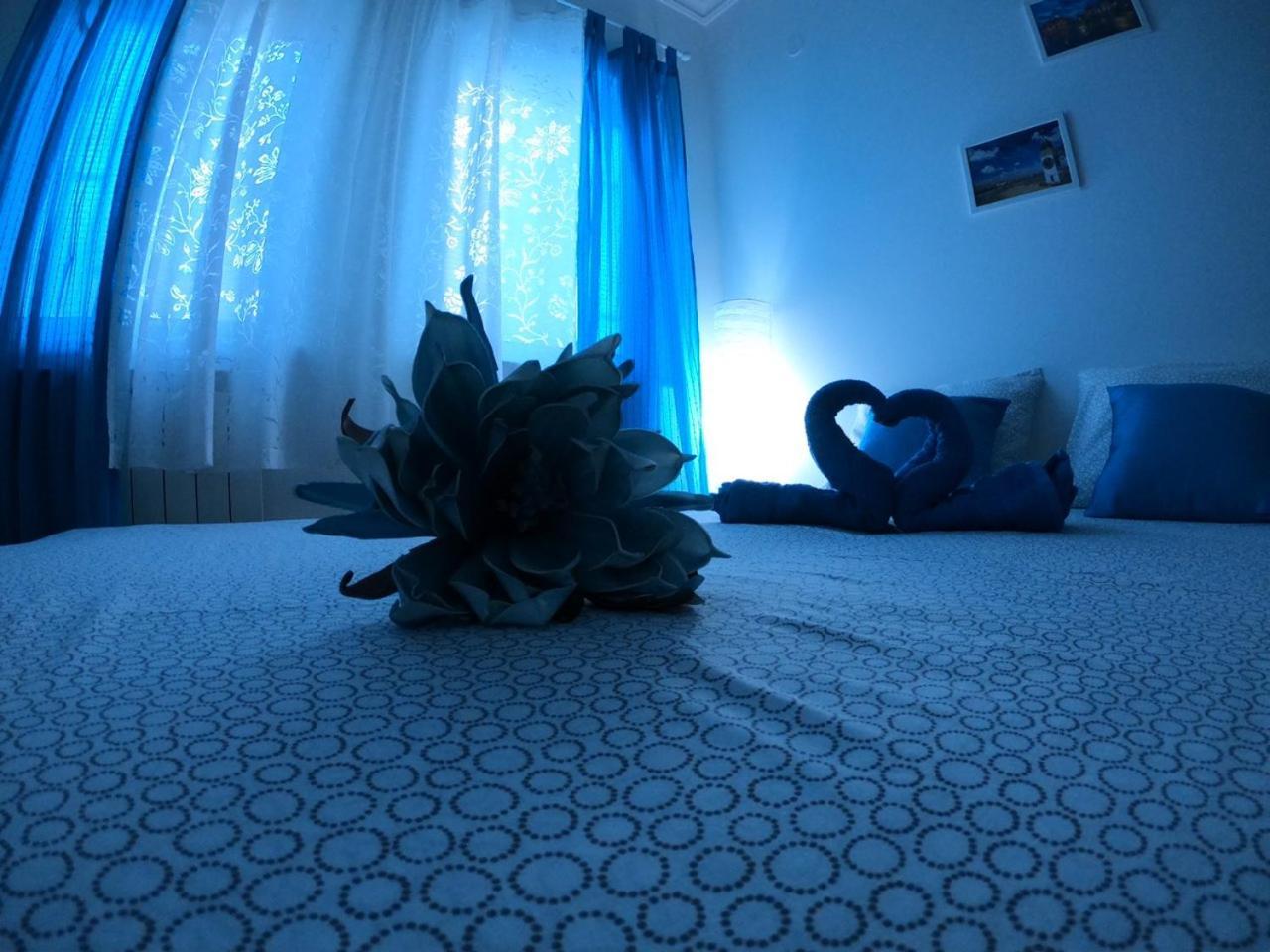 Apartment Fedra