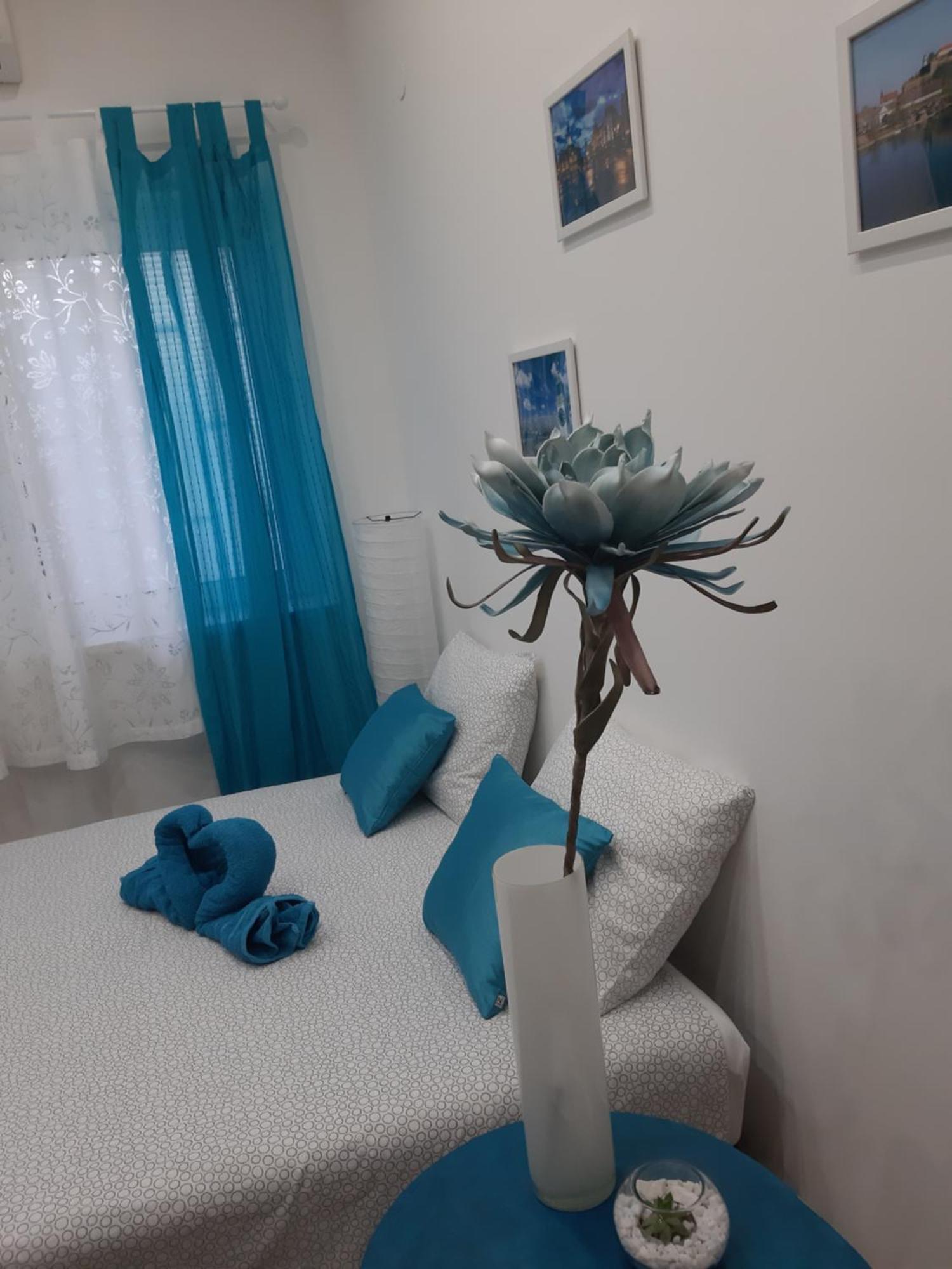 Fedra * Novi Sad